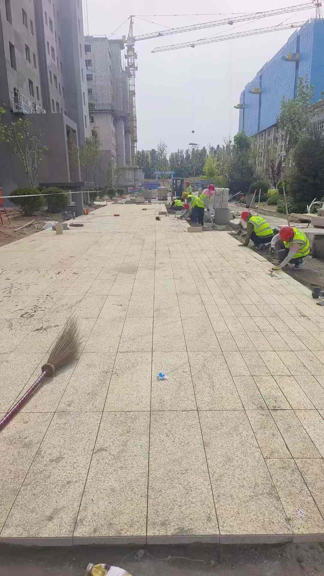 自贡黄金麻荔枝面地铺案例