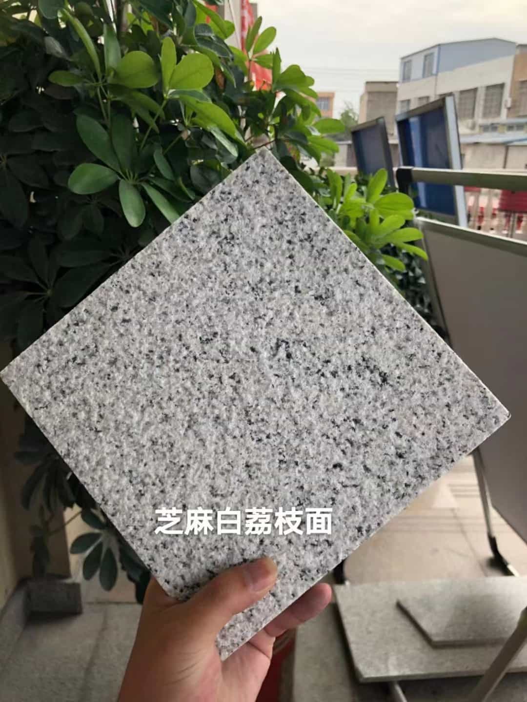 自贡 芝麻白荔枝面干挂