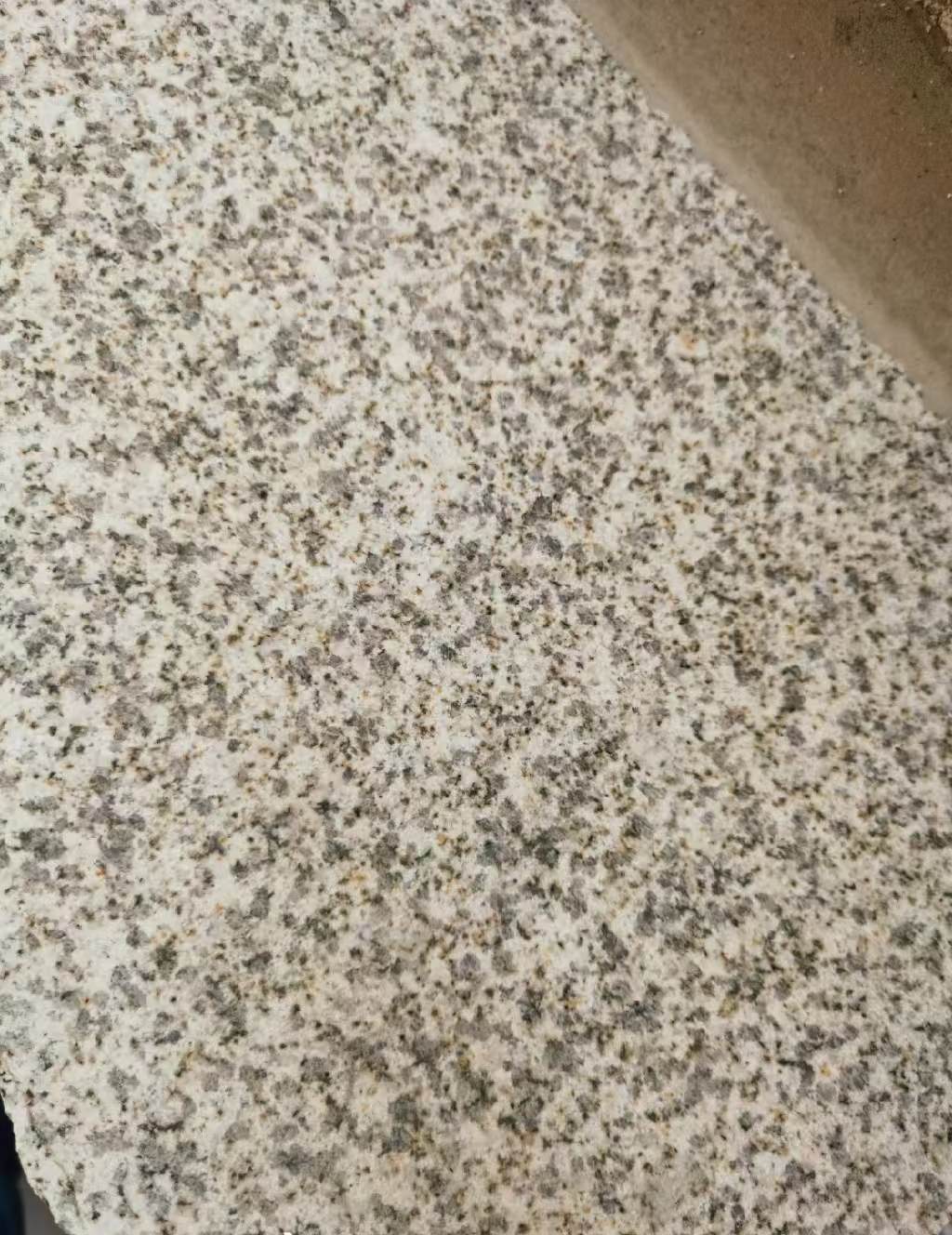 自贡 黄金麻中黄光面