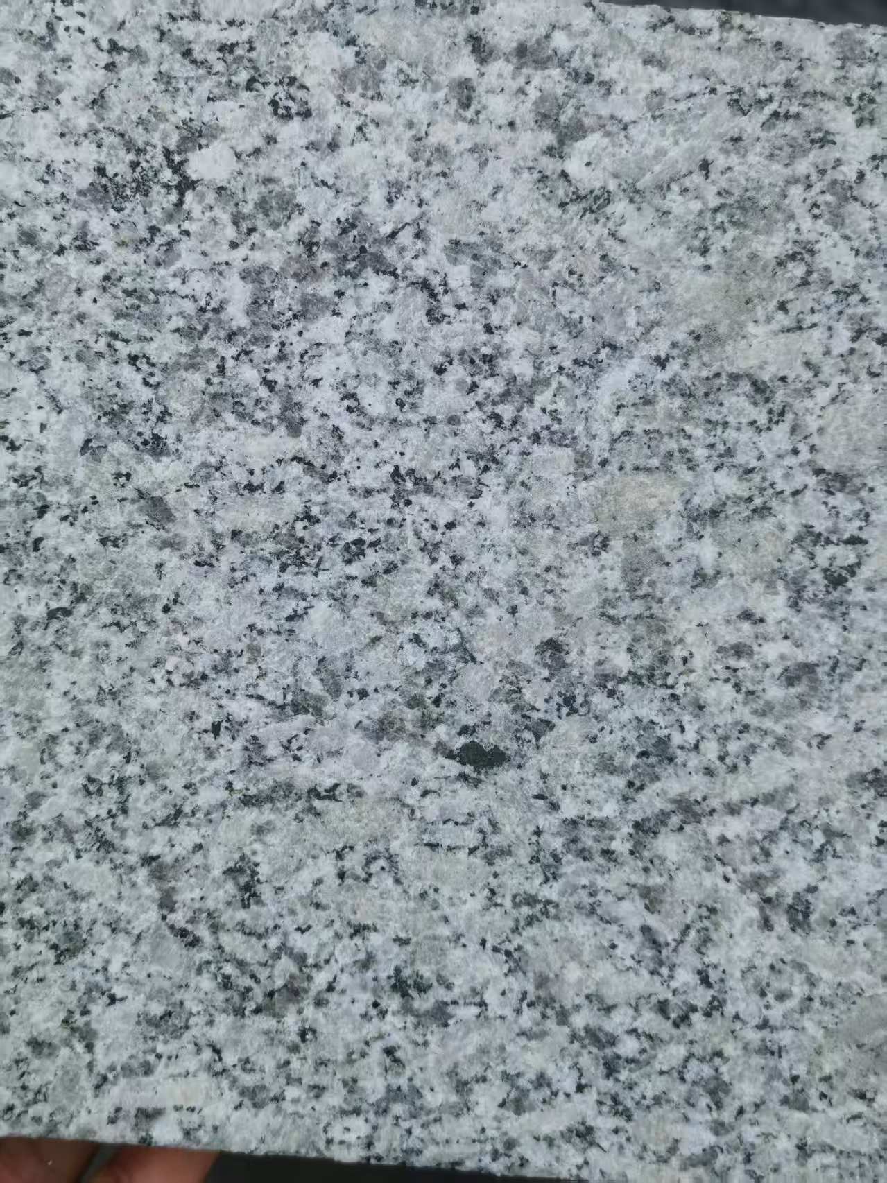 自贡 芙蓉白火烧面